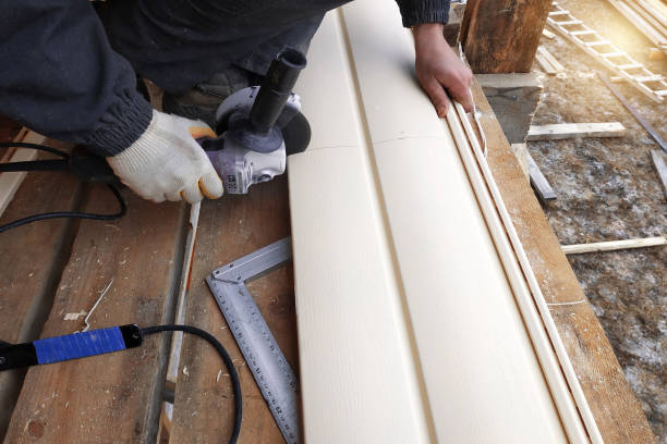 Best Storm Damage Siding Repair  in Candlewick Lake, IL