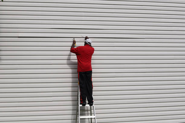 Best Steel Siding Installation  in Candlewick Lake, IL